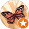 Clare Avatar